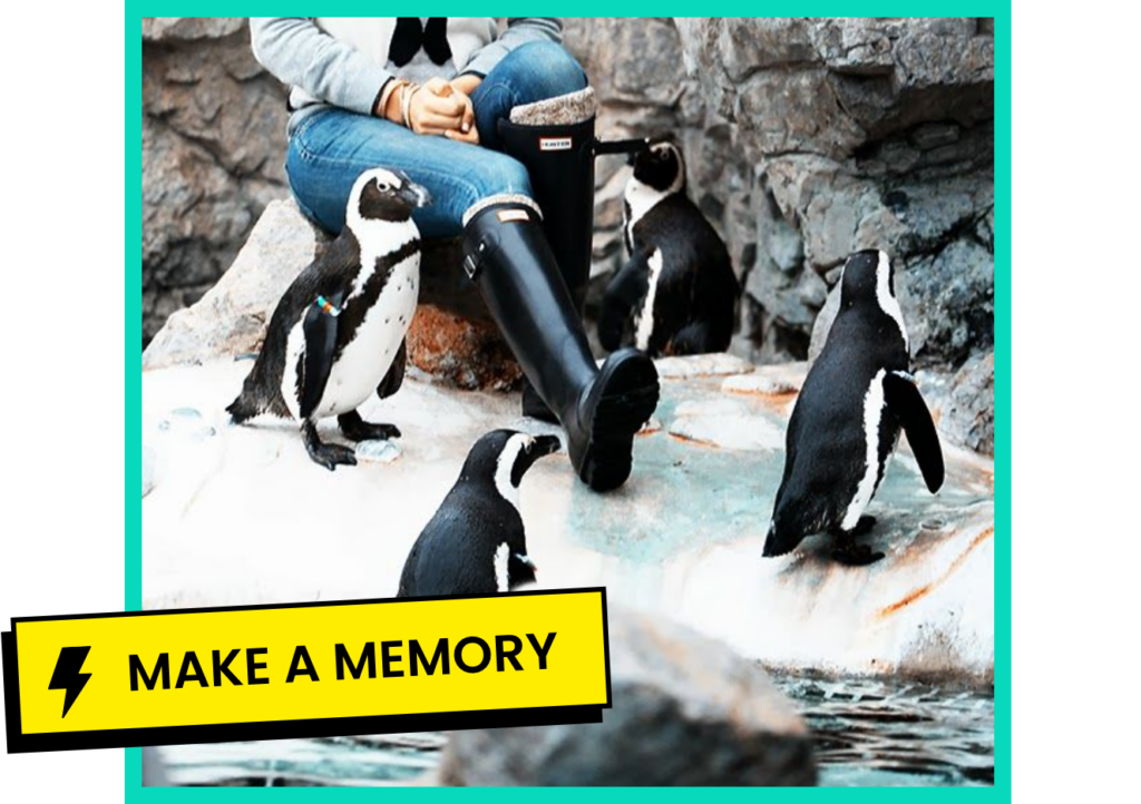 Make a Memory